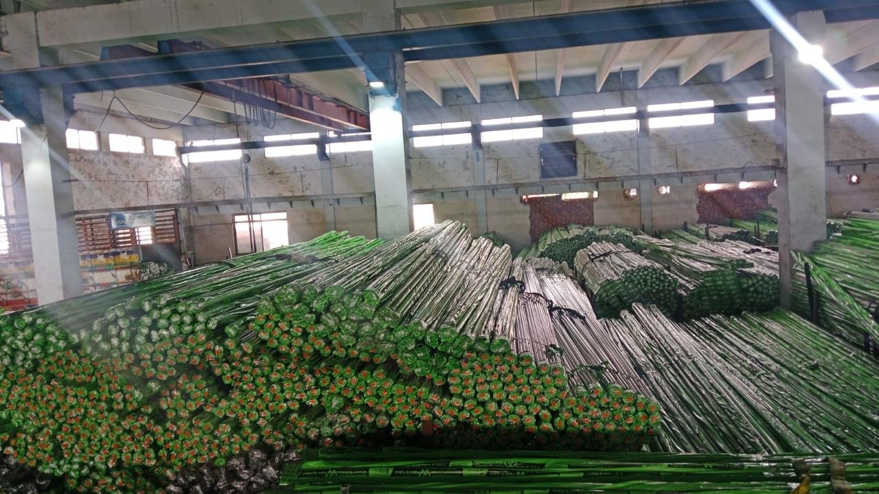 Rectangular Pipes